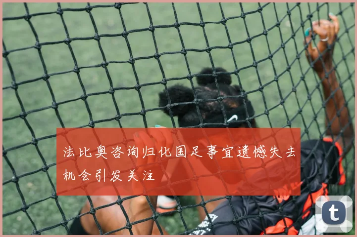 法比奥咨询归化国足事宜遗憾失去机会引发关注