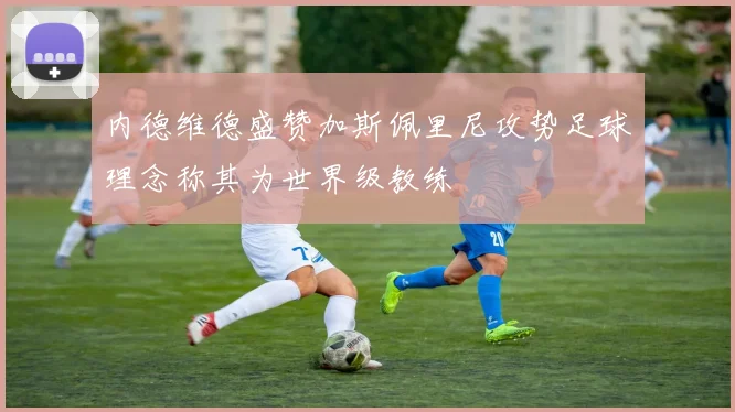 内德维德盛赞加斯佩里尼攻势足球理念称其为世界级教练