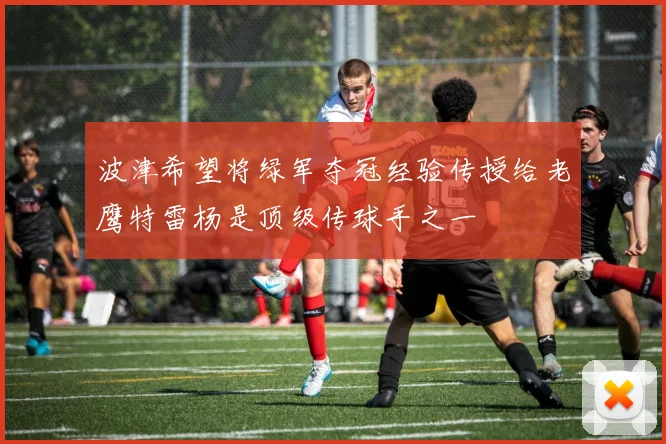 波津希望将绿军夺冠经验传授给老鹰特雷杨是顶级传球手之一