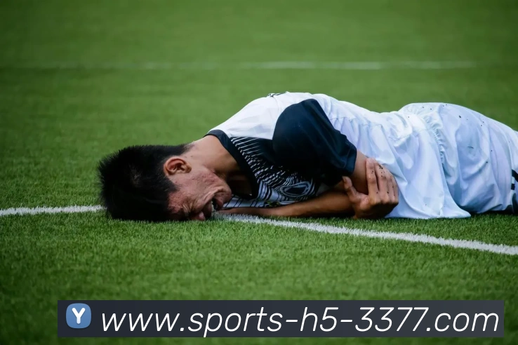 多媒体互动体验